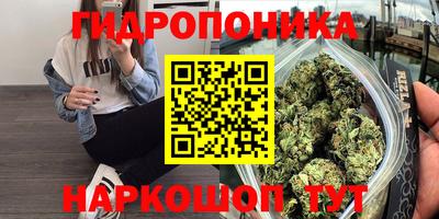 амф Краснодар