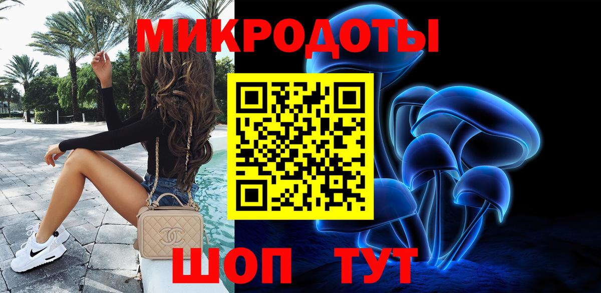 Галлюциногенные грибы Magic Shrooms  купить   Псилоцибиновые грибы мицелий  Кольчугино  Вход с VPN 