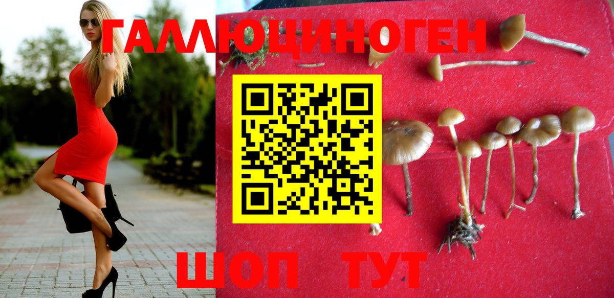 Псилоцибиновые грибы MAGIC MUSHROOMS Кольчугино